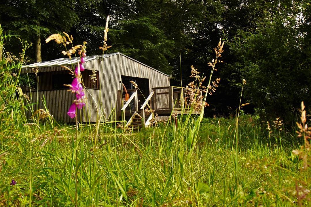 Photo of Others in Saint-Sever-Calvados