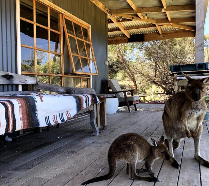 Photo of Others in Duncan