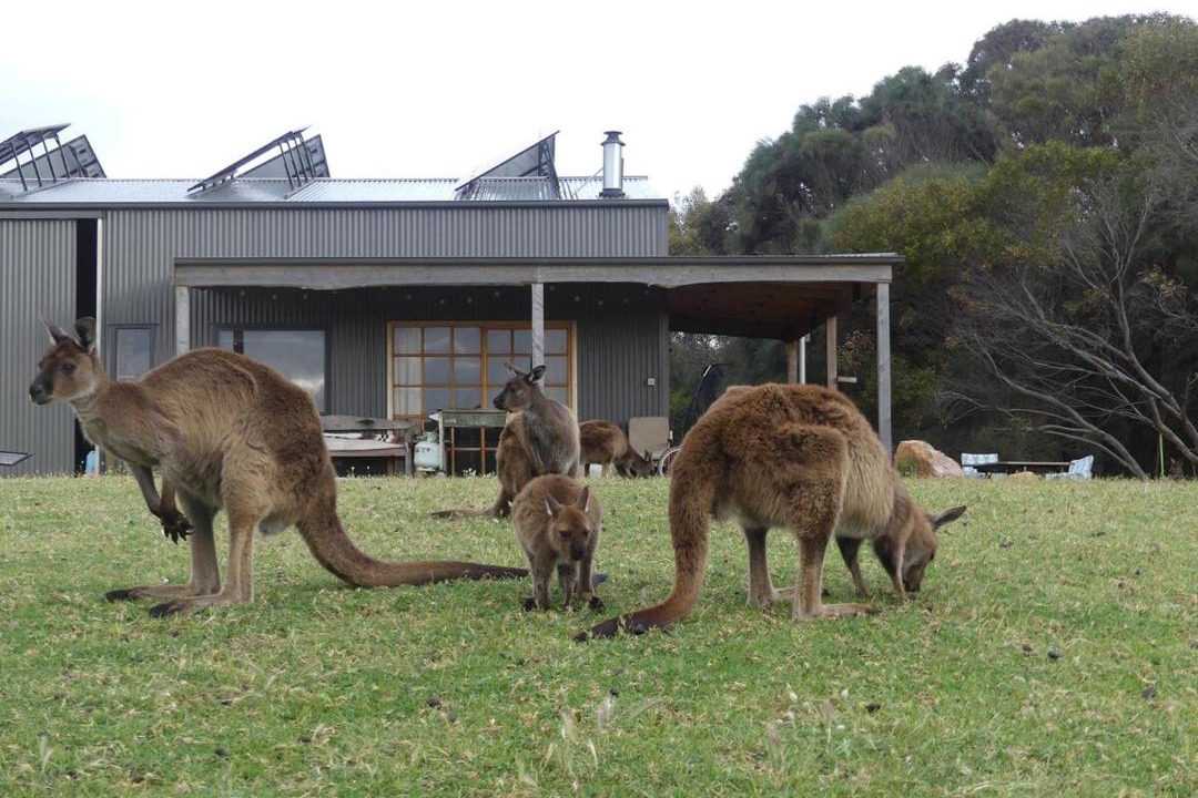 Photo of Others in Duncan