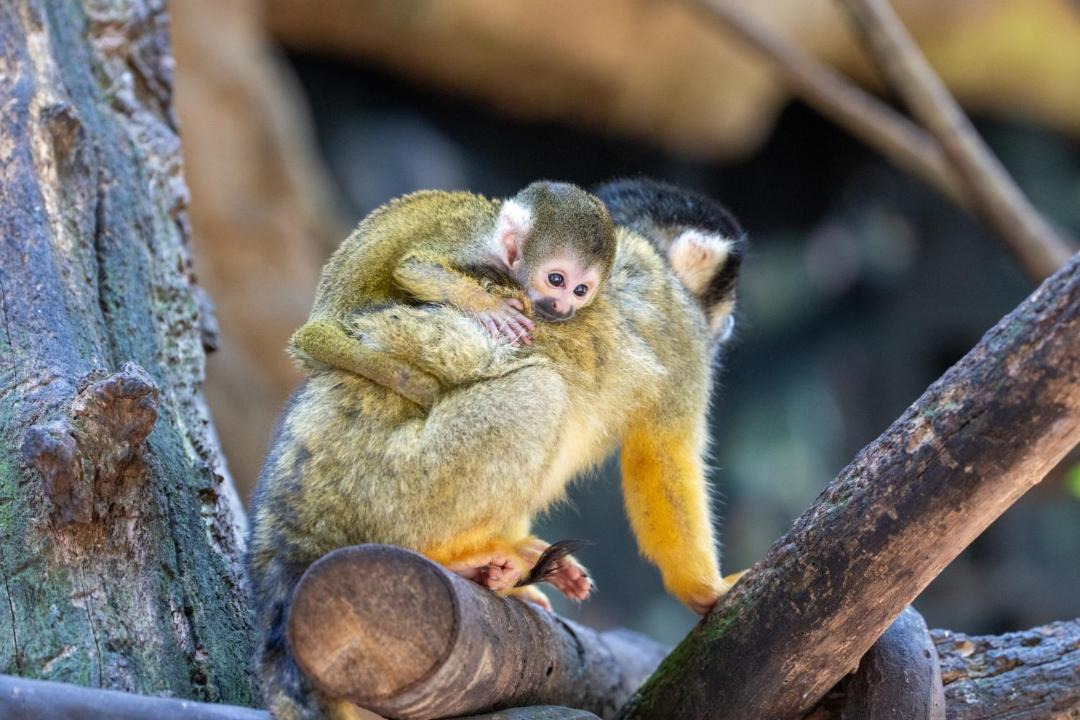 Photo of Others in Saint-Aignan