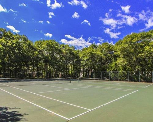 Photo of Others in Mashpee