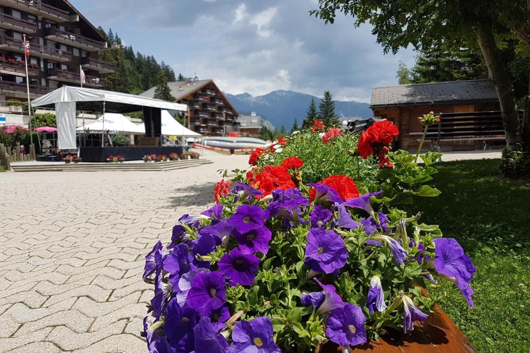 Photo of Buildings in Anzere