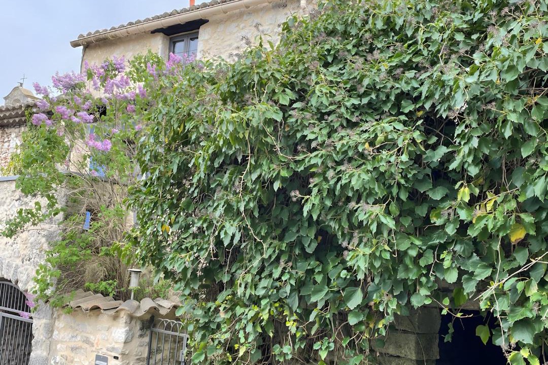 Photo of Others in Verfeuil