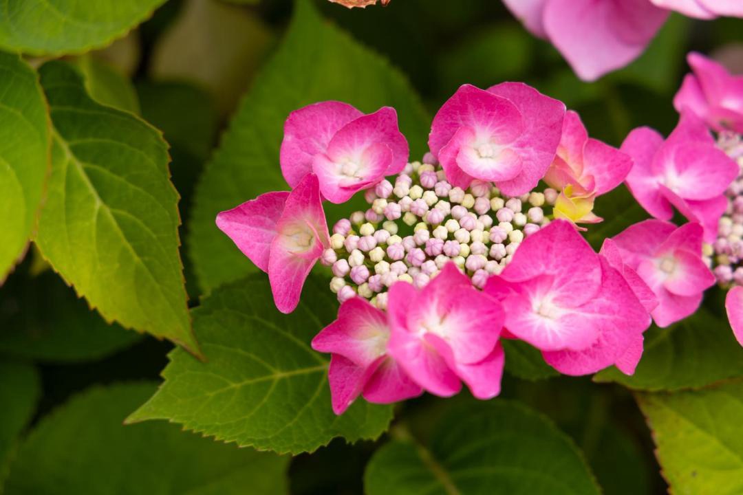 Photo of Others in Ardeonaig