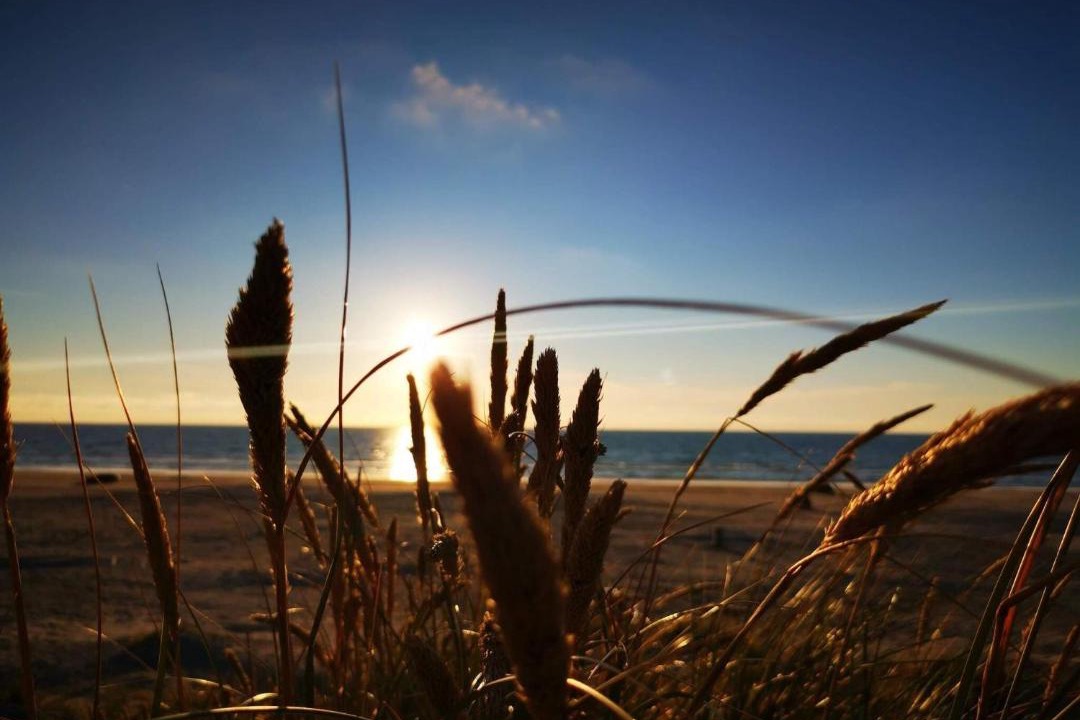 Photo of Others in Rødhus