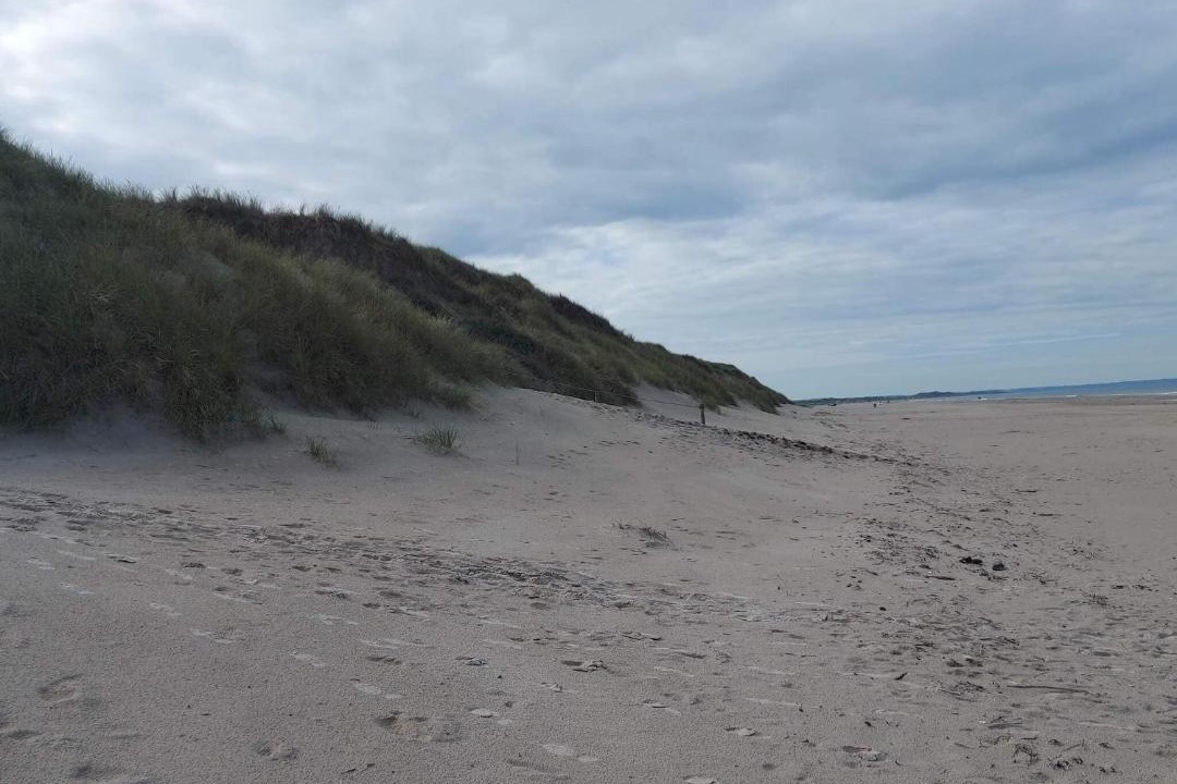 Photo of Others in Rødhus