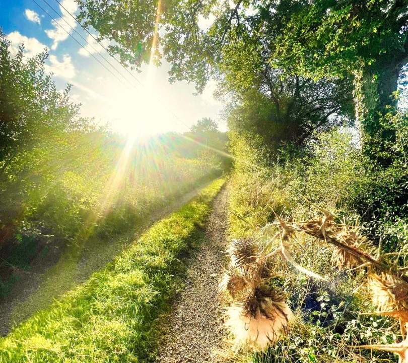 Photo of Others in Courcival