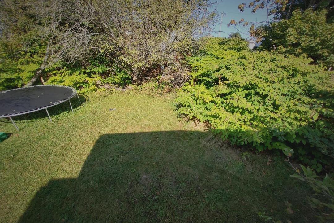 Photo of Others in Saint John