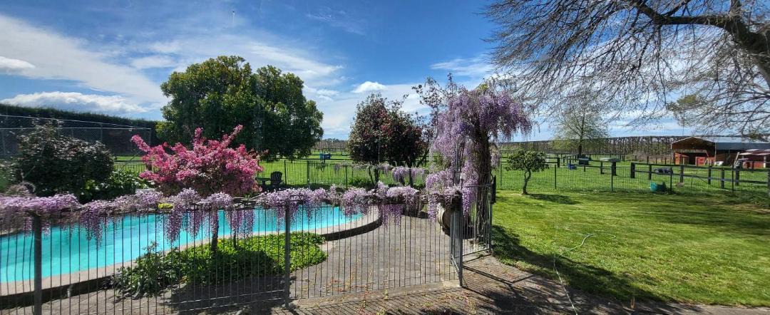 Photo of Others in Whakatu