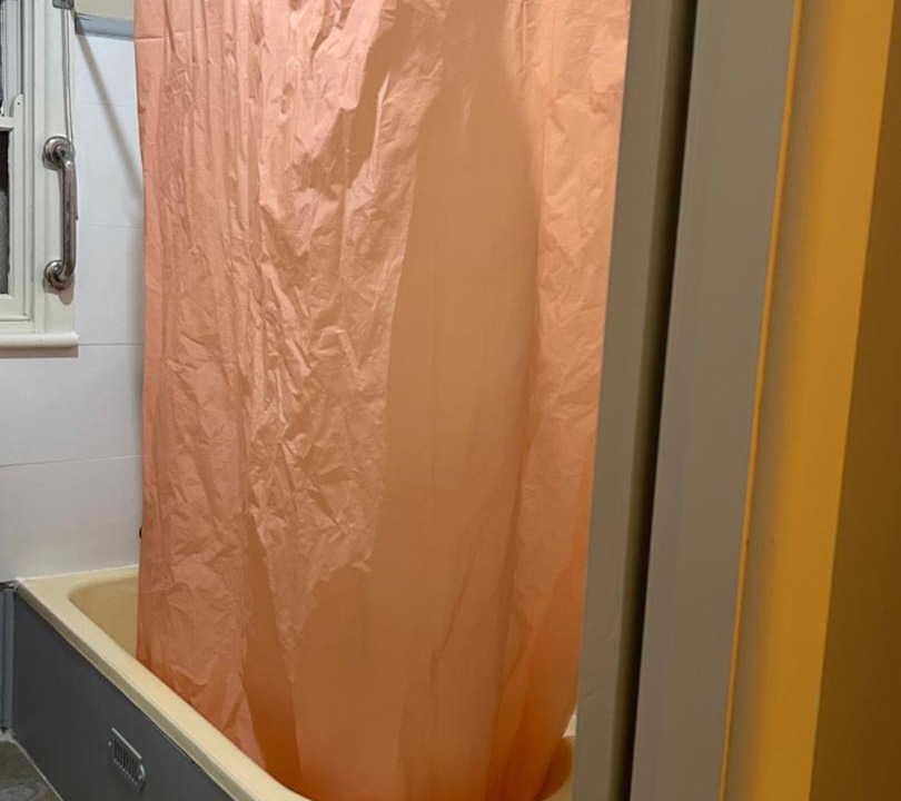 Photo of Others in Windsor