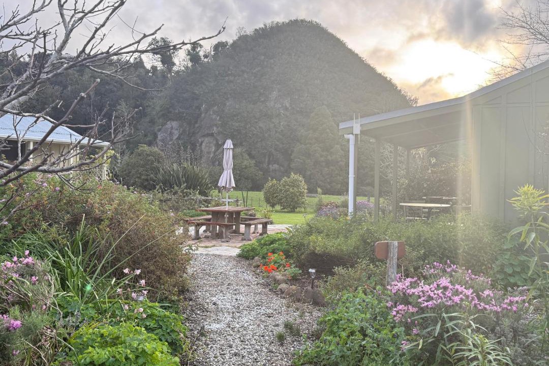 Photo of Others in Waimamaku