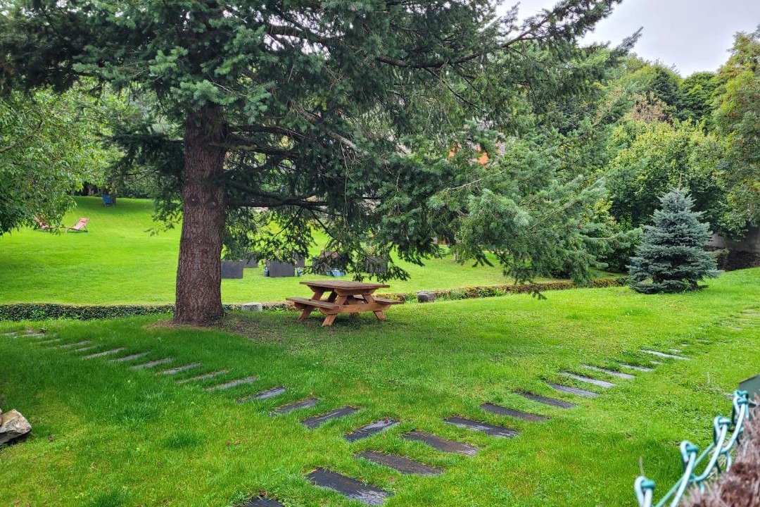 Photo of Others in Orcines