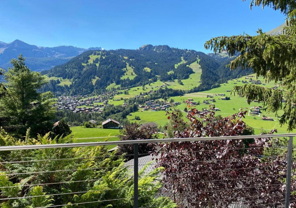 Photo of Others in Lenk