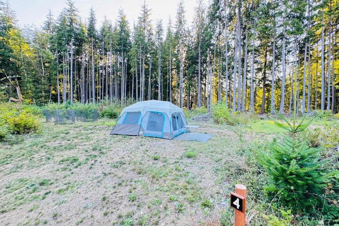 Photo of Outdoor in Forks