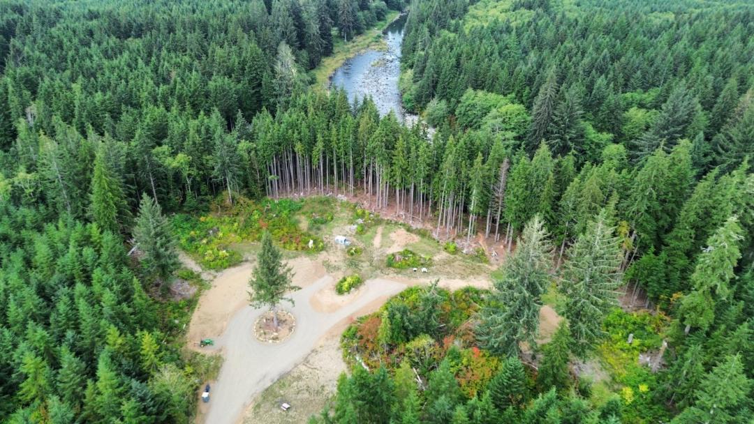 Photo of Others in Forks