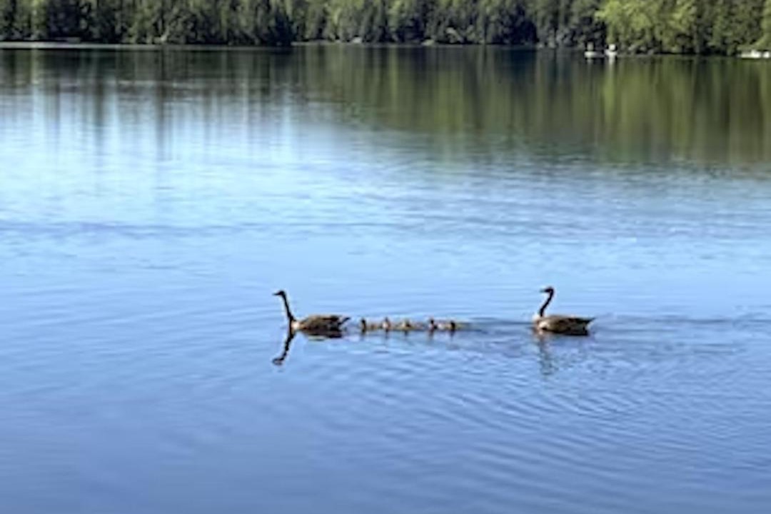 Photo of Others in Nominingue