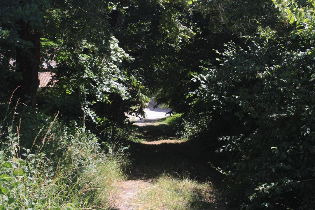 Photo of Others in Saint-Thomas-de-Conac