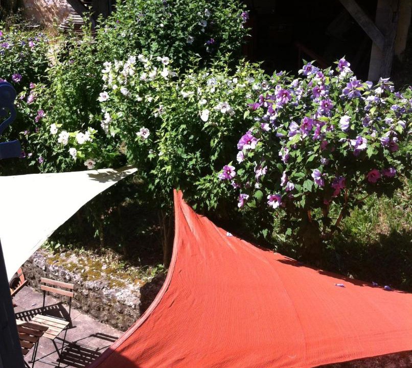 Photo of Others in Saint-Thomas-de-Conac