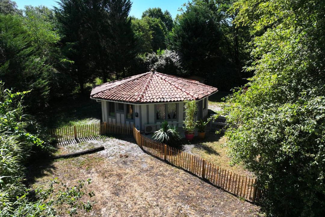 Photo of Others in Belin-Beliet