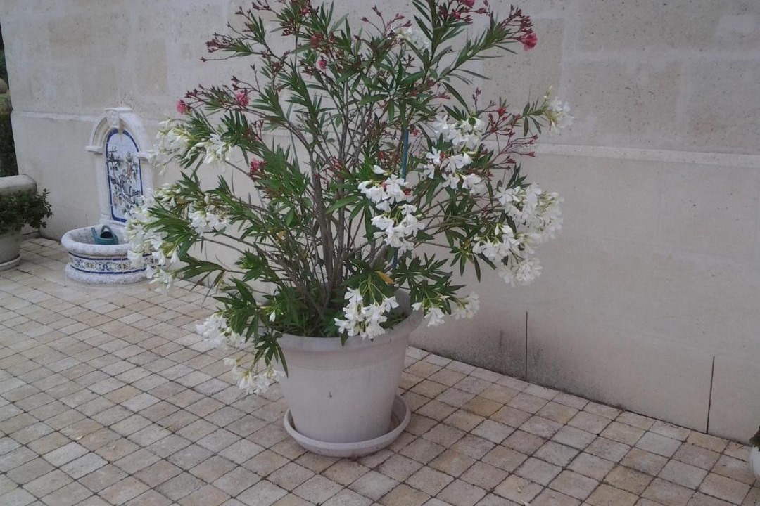 Photo of Others in Pontoise-les-Noyon