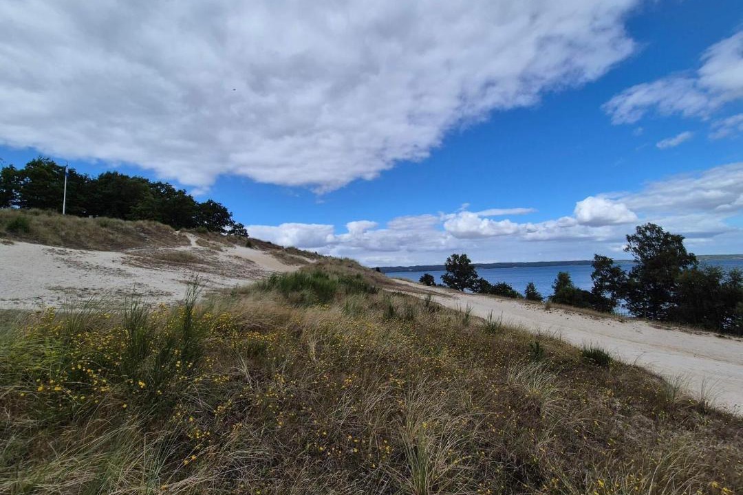 Photo of Others in Hvidbjerg Strand