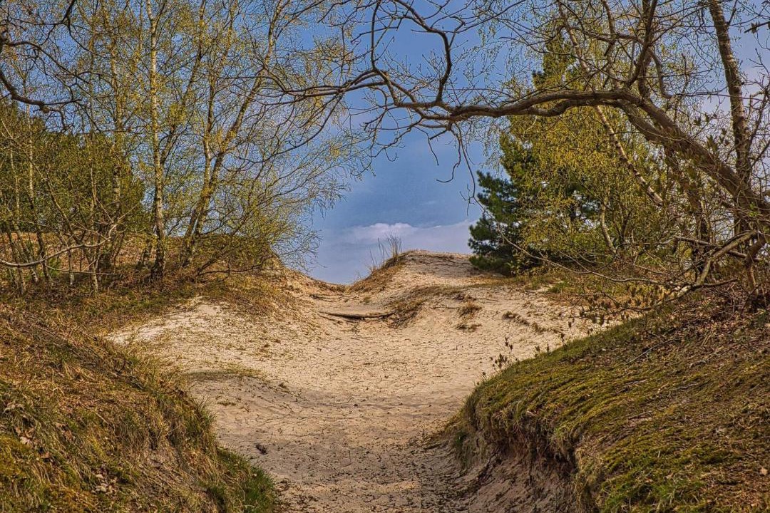 Photo of Others in Hvidbjerg Strand