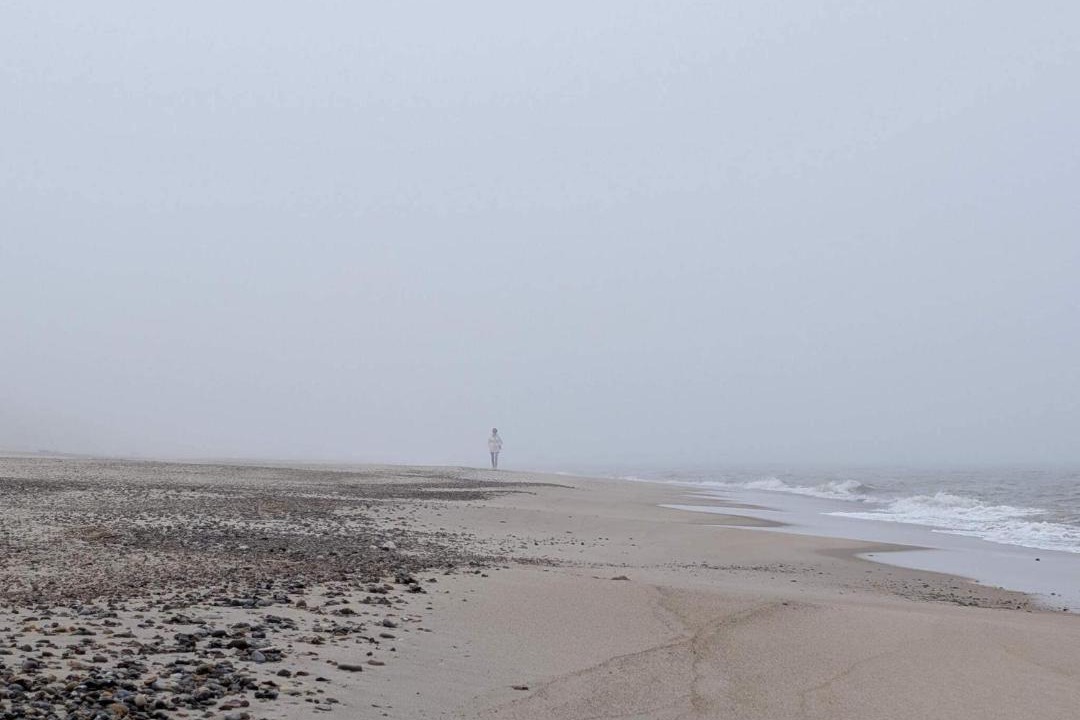 Photo of Others in Vedersø Klit