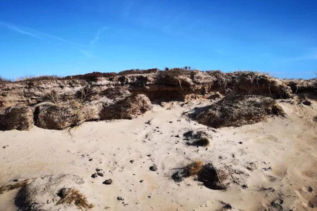 Photo of Others in Grærup Strand