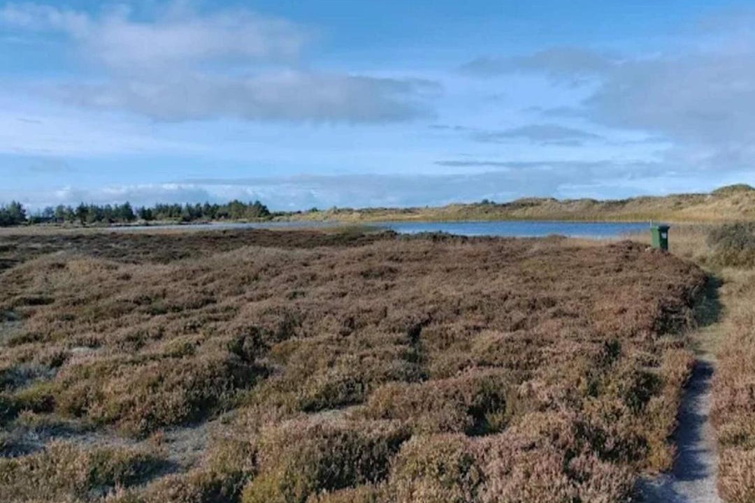 Photo of Others in Grærup Strand