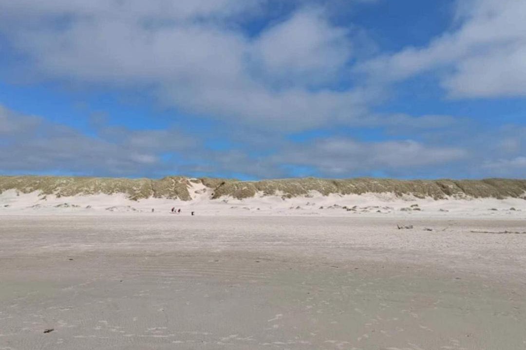 Photo of Others in Grærup Strand