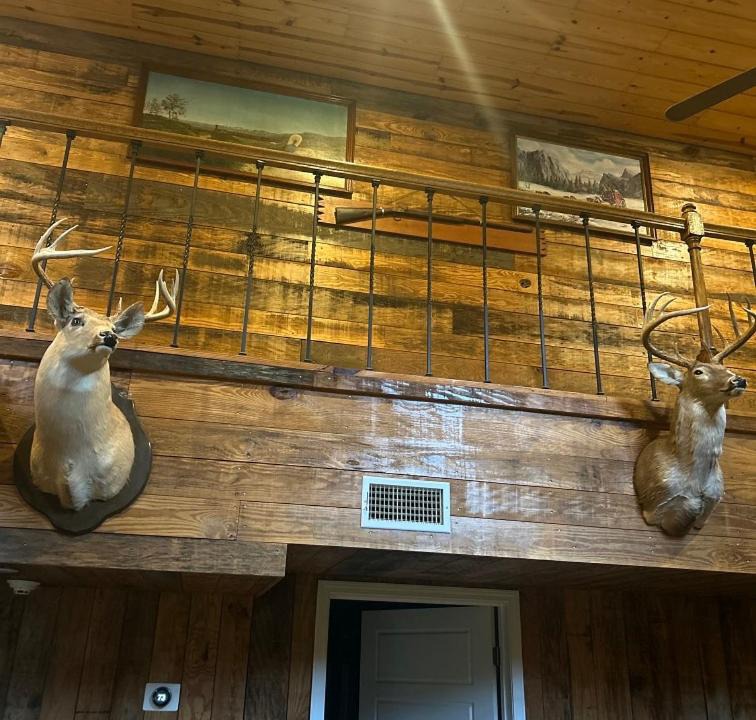 Photo of Others in McCall Creek