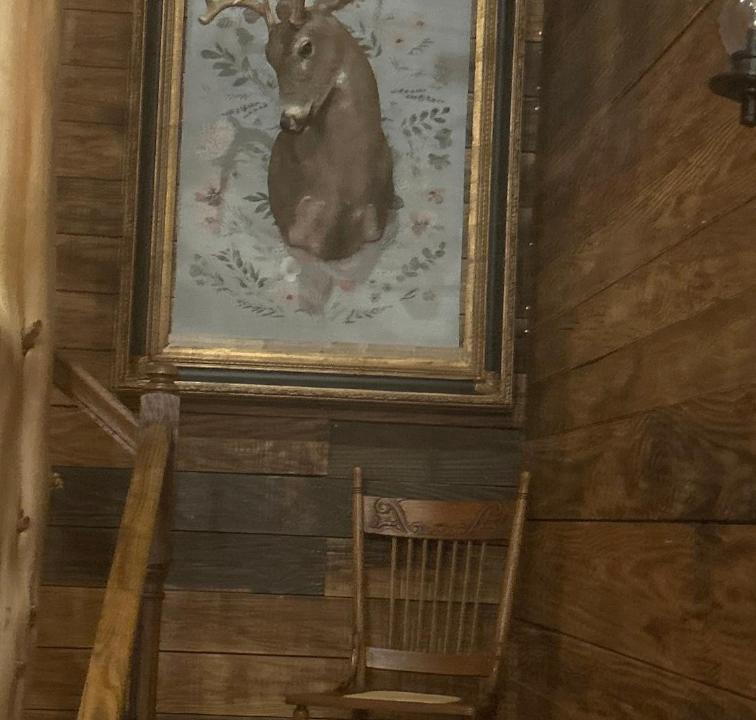 Photo of Others in McCall Creek
