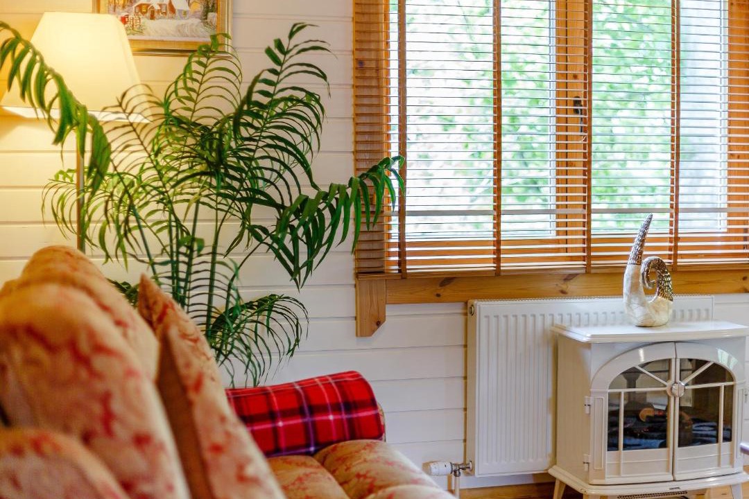 Photo of Others in Duns