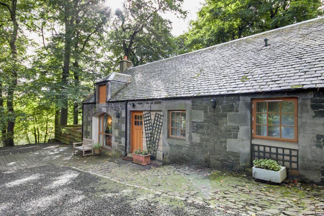 Photo of Others in Newbridge