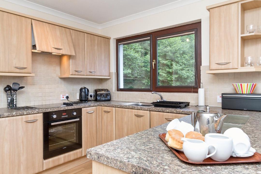 Photo of Others in Kyle