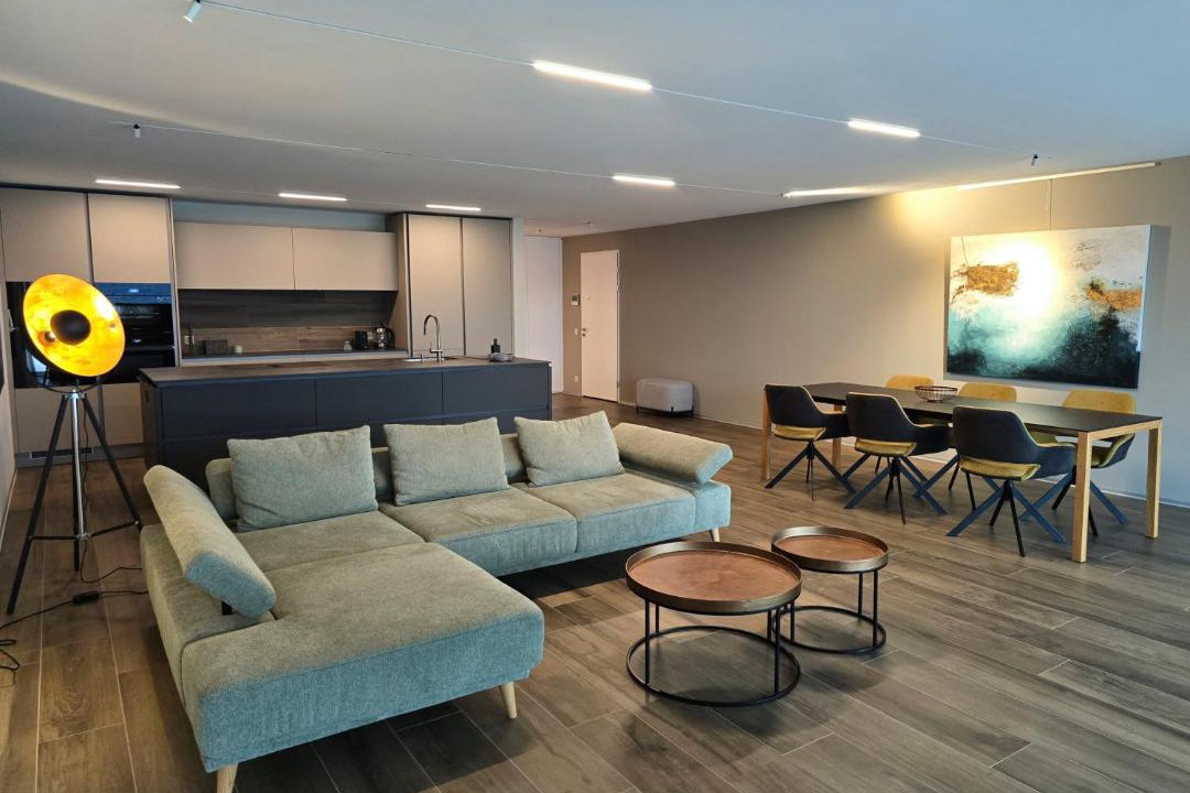 Photo of Livingroom in Minusio