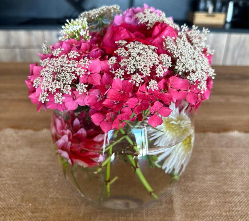 Photo of Others in Morey