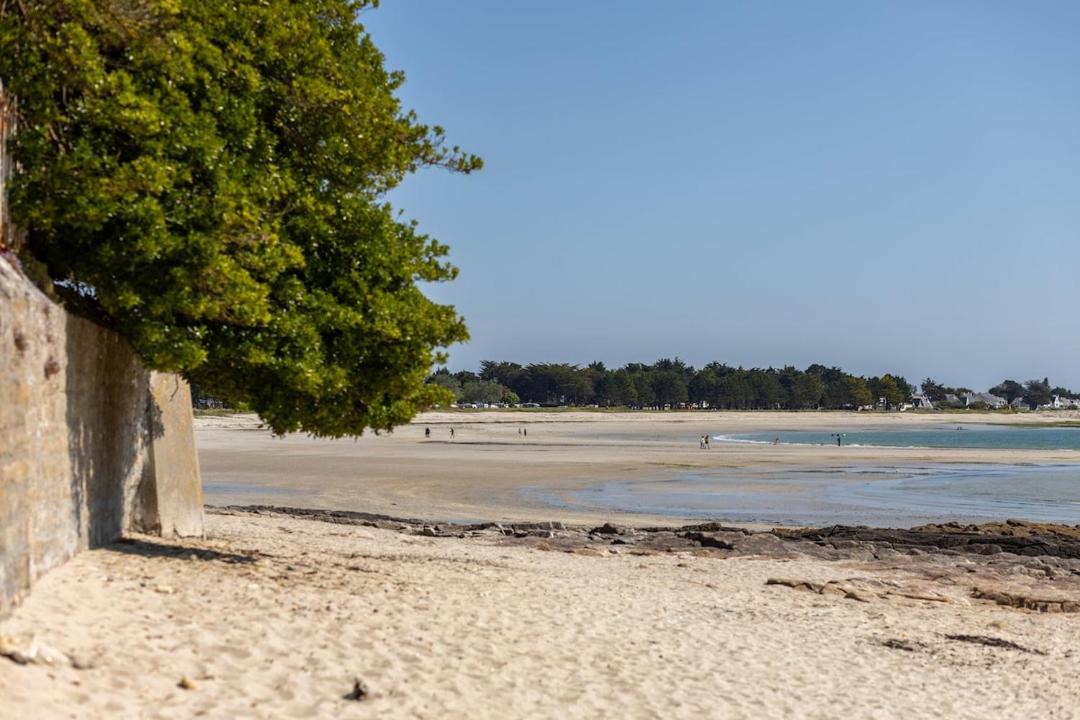 Photo of Others in Ile-Tudy