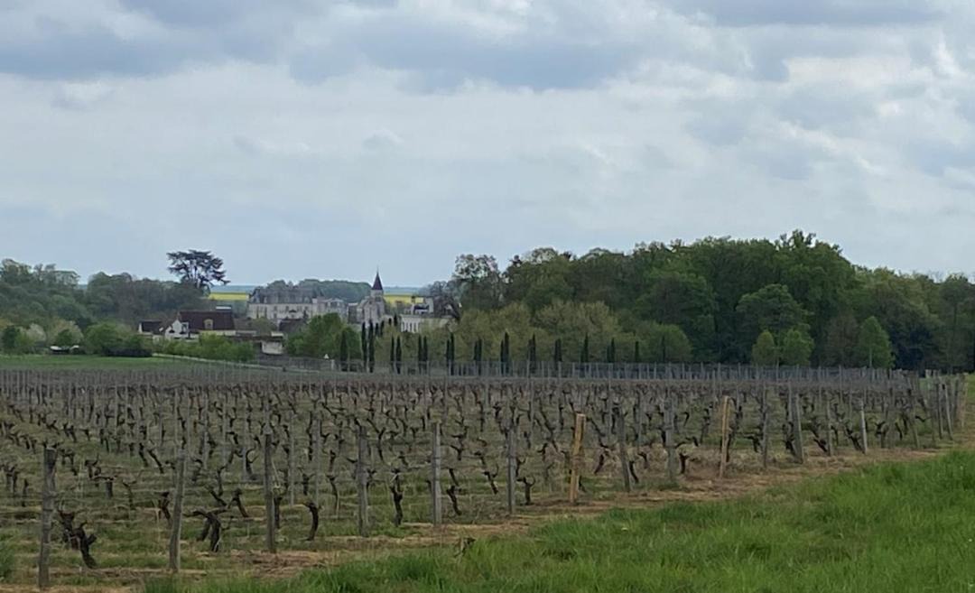 Photo of Others in La Celle-sous-Gouzon