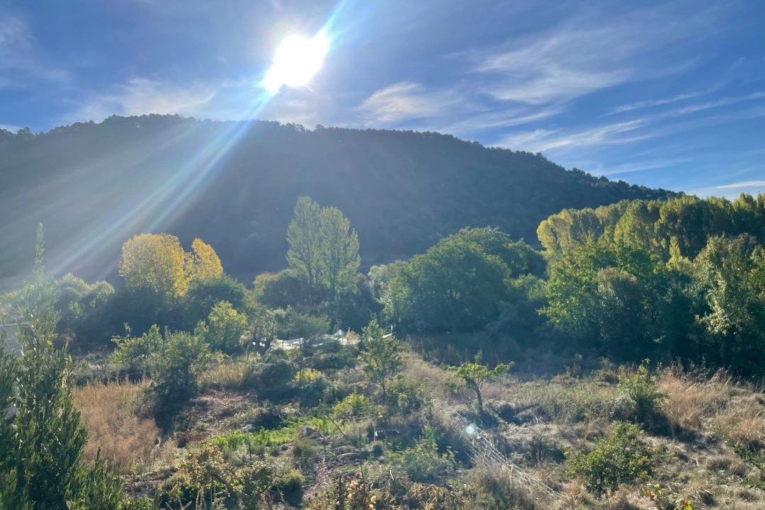 Photo of Others in Huerta del Marquesado