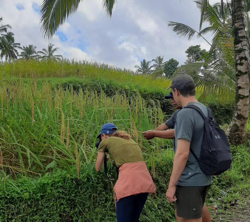 Photo of Others in Sebatu