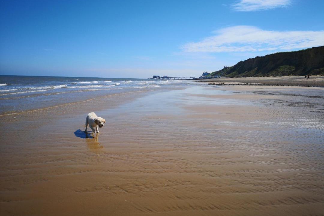 Photo of Others in East Runton