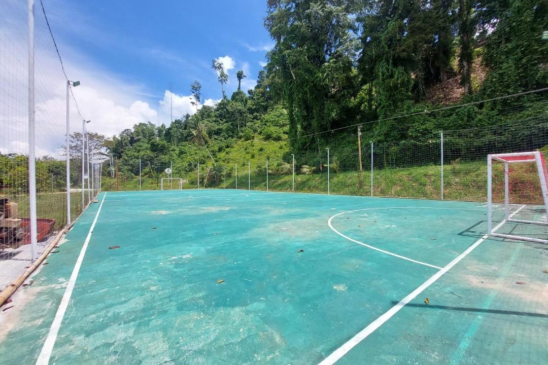 Photo of Others in Toinasa