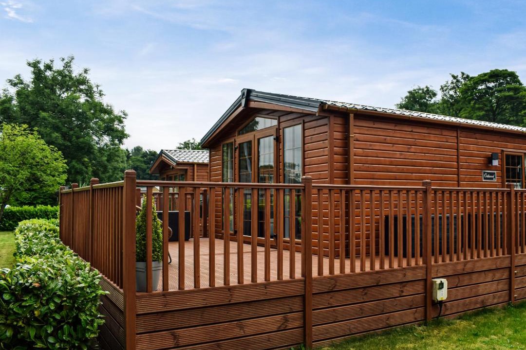 Photo of Others in Dollar