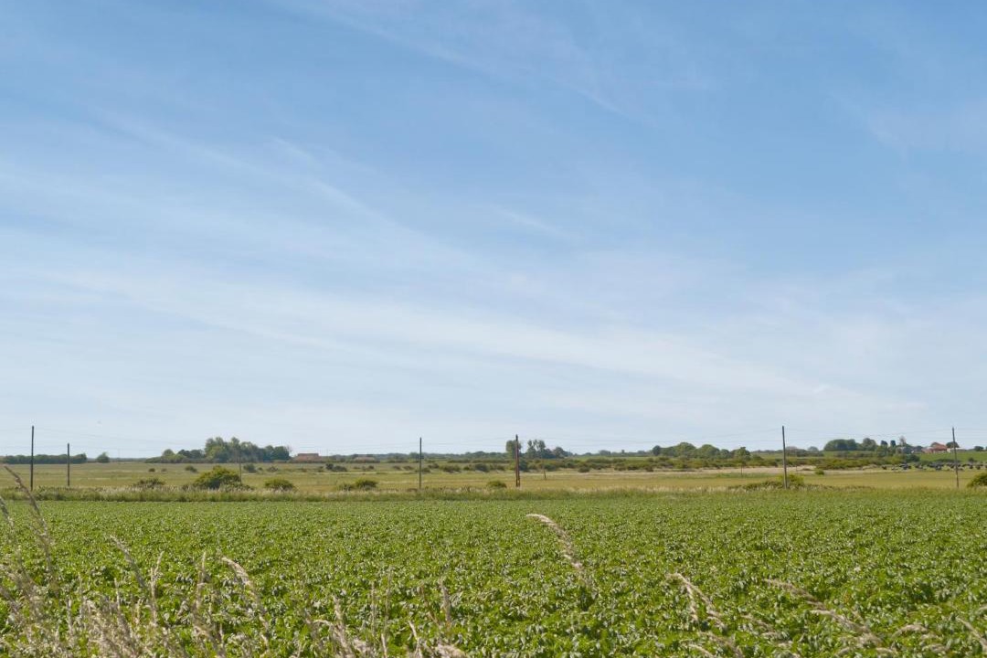 Photo of Others in Sea Palling