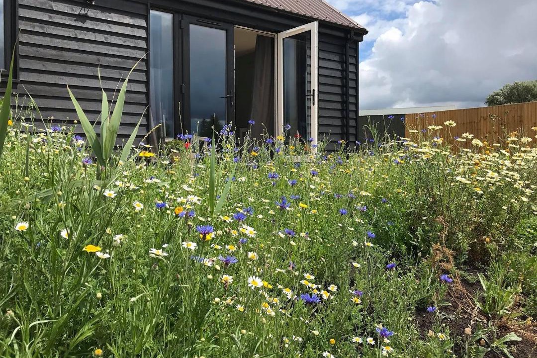 Photo of Others in Huntingdon