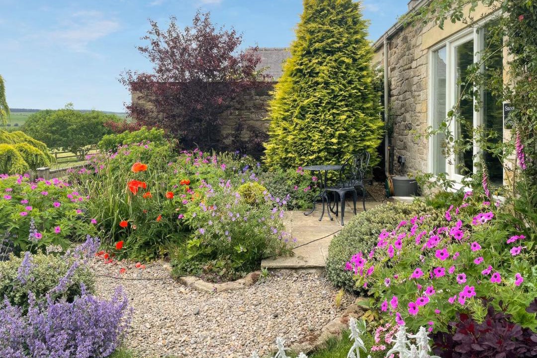 Photo of Others in Hexham