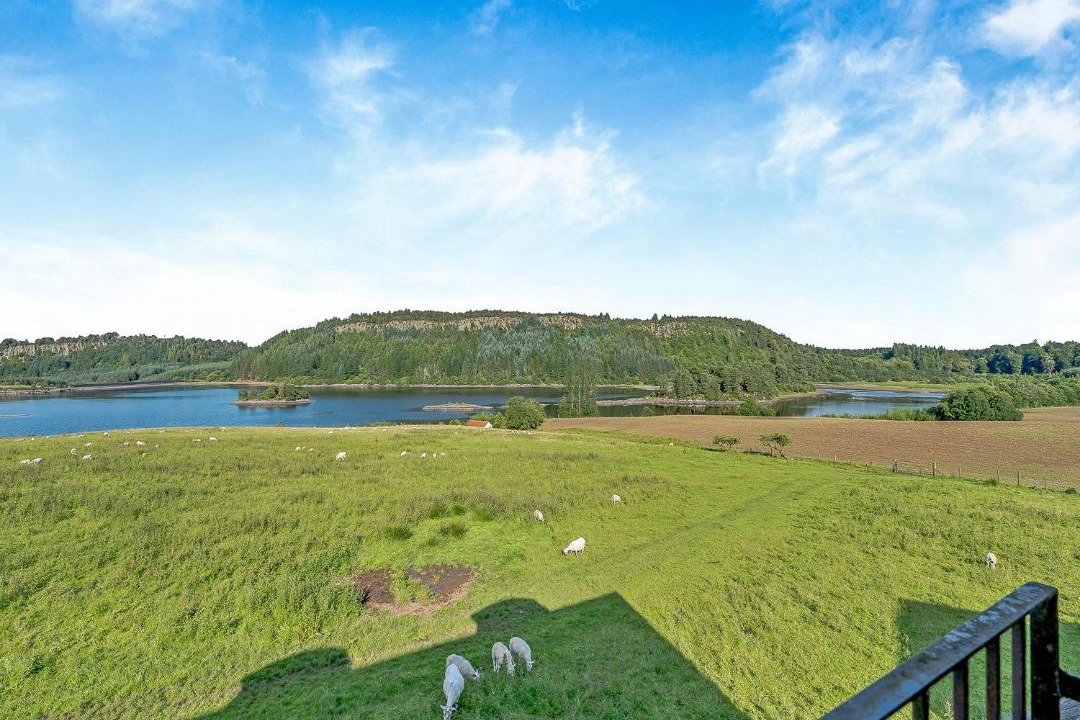 Photo of Others in Fintry