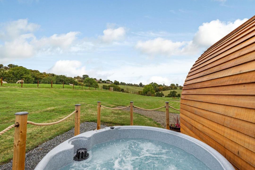 Photo of Others in Welshpool