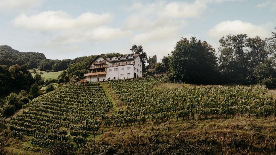 Photo of Others in Pfaefers Dorf